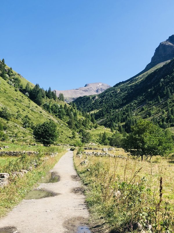 What Are the Most Effective Natural Remedies for Menopausal Hot Flashes?